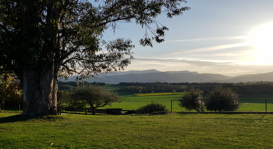 Jardí