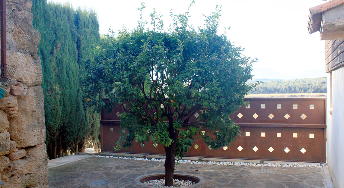 Jardí
